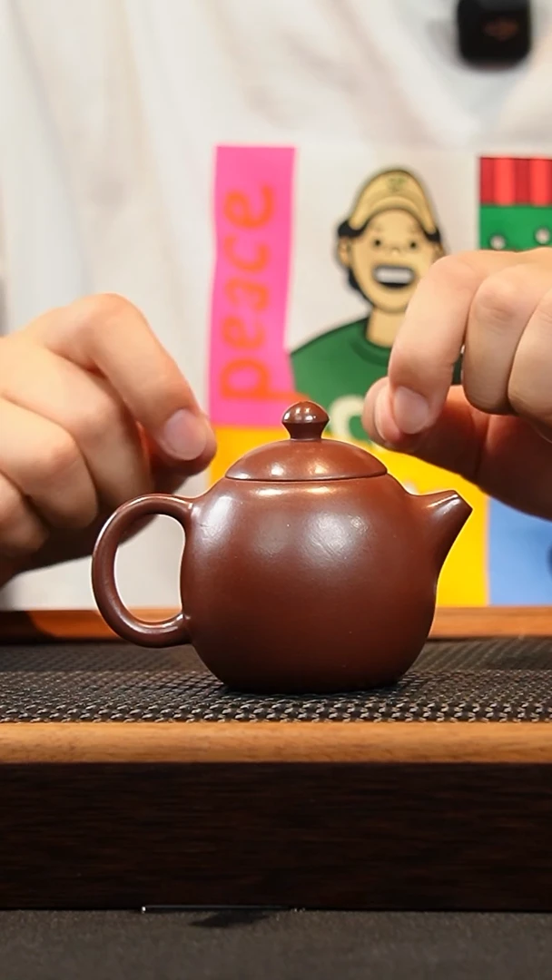 茶壶紫砂 一壶漂泊紫砂茶器1604