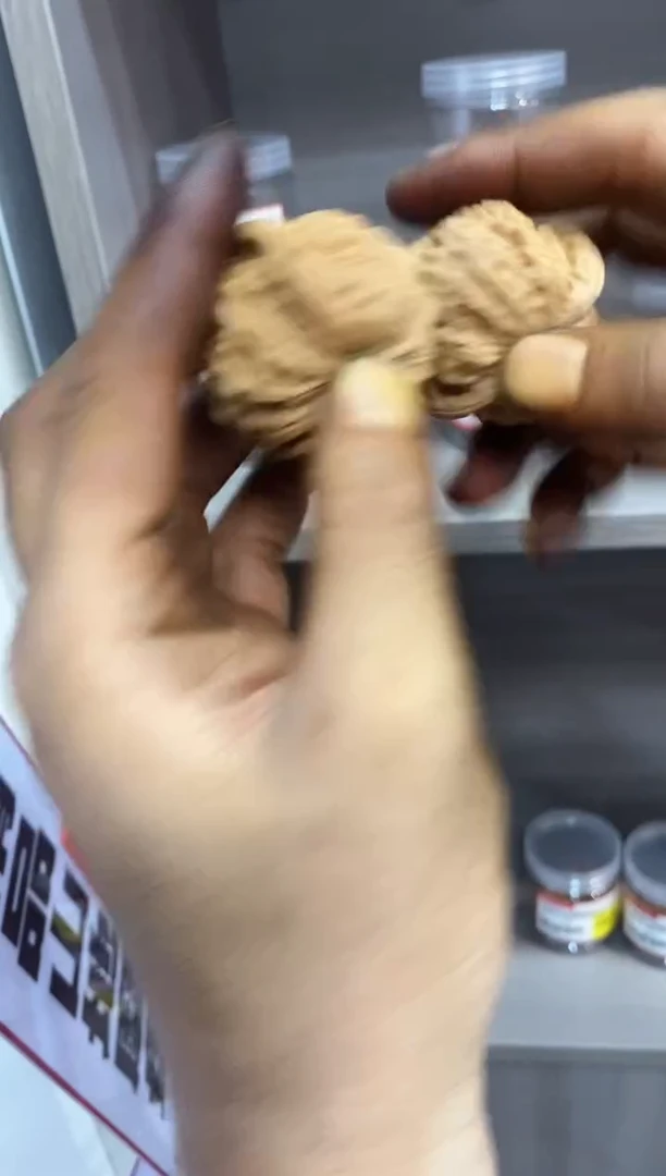 文玩核桃把件微修微瑕血麒麟46