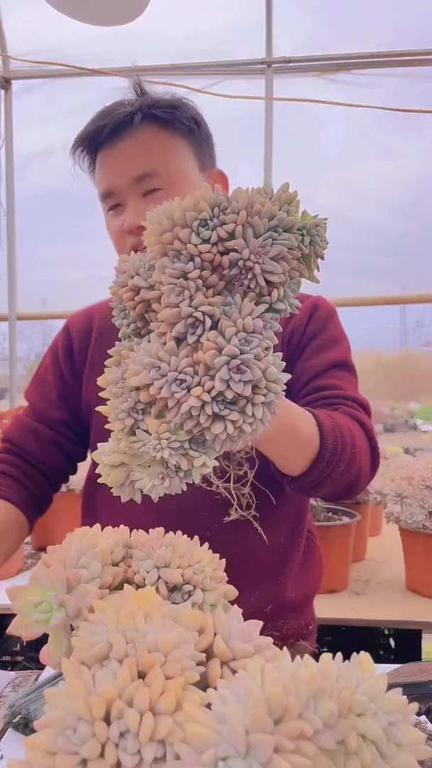 【闪购商品】缀化143