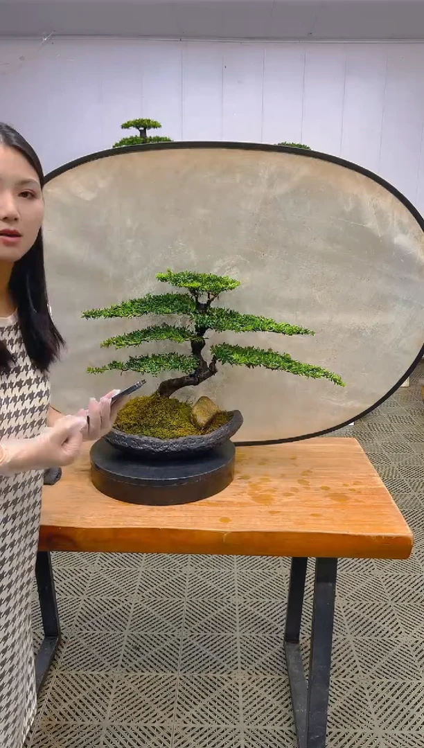 无花朵一物一拍一物一拍