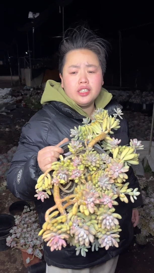 【闪购商品】68-粉色恋人24