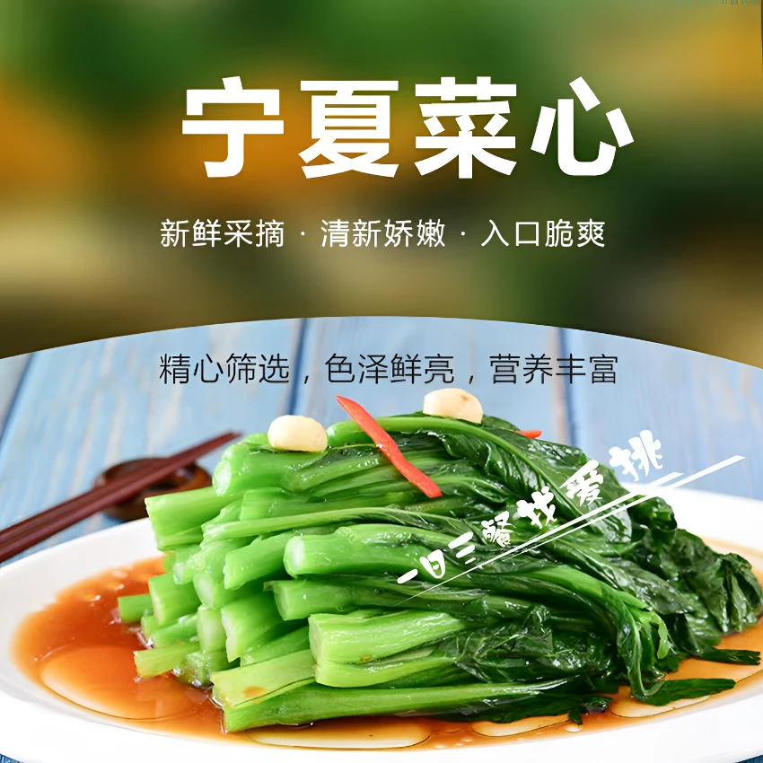 【次日达】宁夏新鲜菜心当季脆嫩绿叶现摘农家时令蔬菜包邮2斤/4斤绿色蔬菜菜心