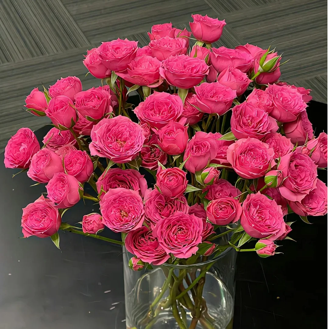 【云南鲜花】多头（苏菲宝贝）玫瑰 1单普通包邮，2单以上顺丰冷链