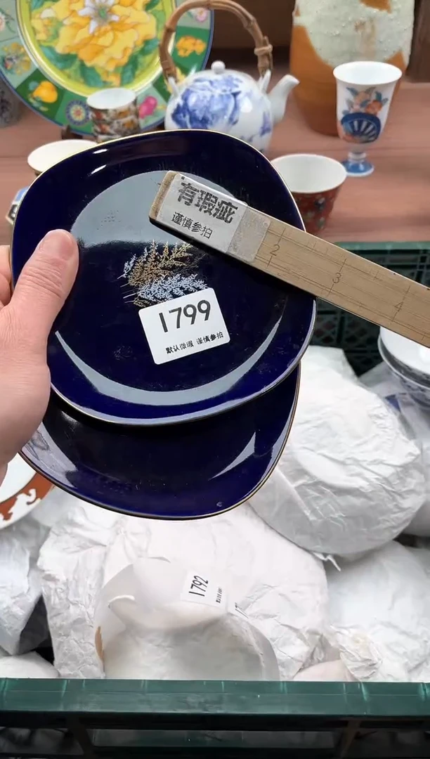 【闪购商品】瓷片799