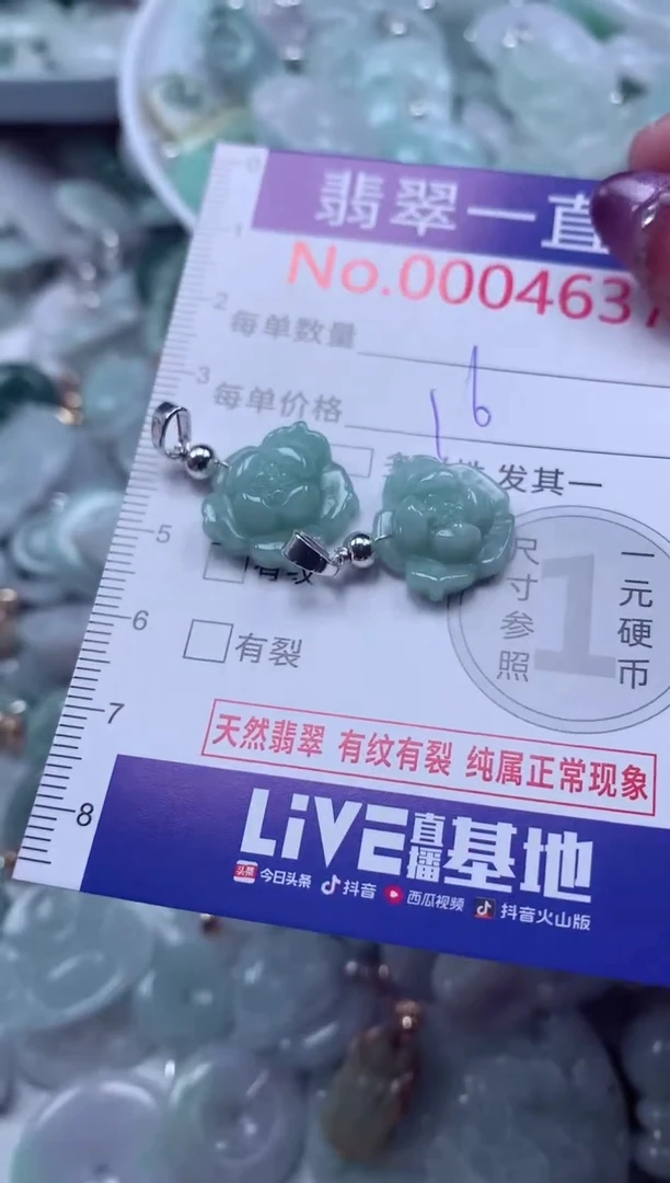 翡翠未镶嵌吊坠(不含链)4637