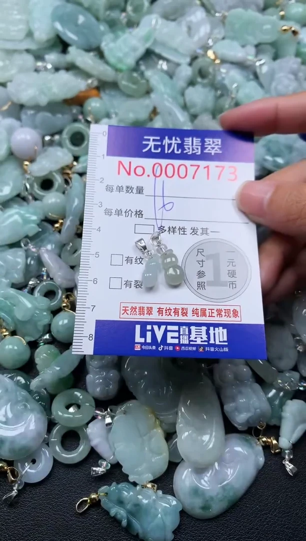 颈饰未镶嵌翡翠7173