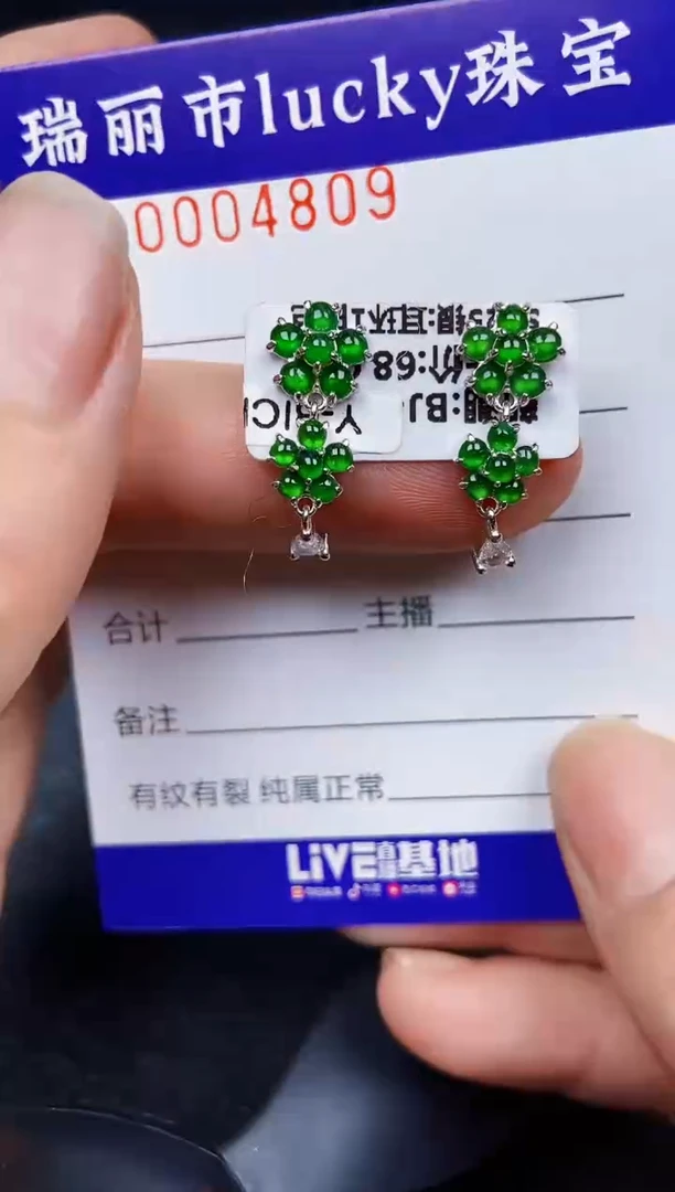 翡翠银S925镶嵌颈饰4809