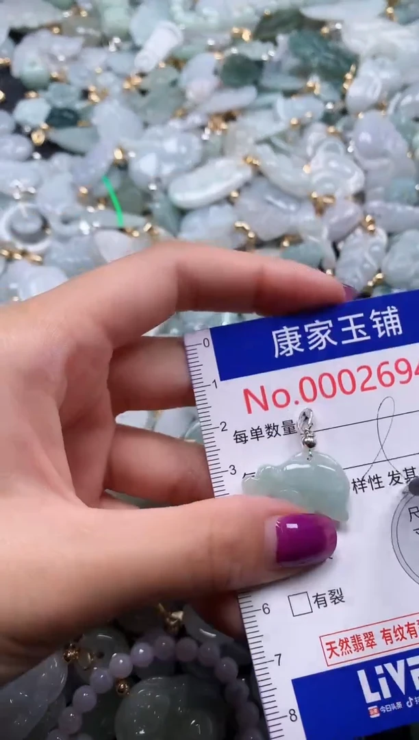 颈饰未镶嵌翡翠2694