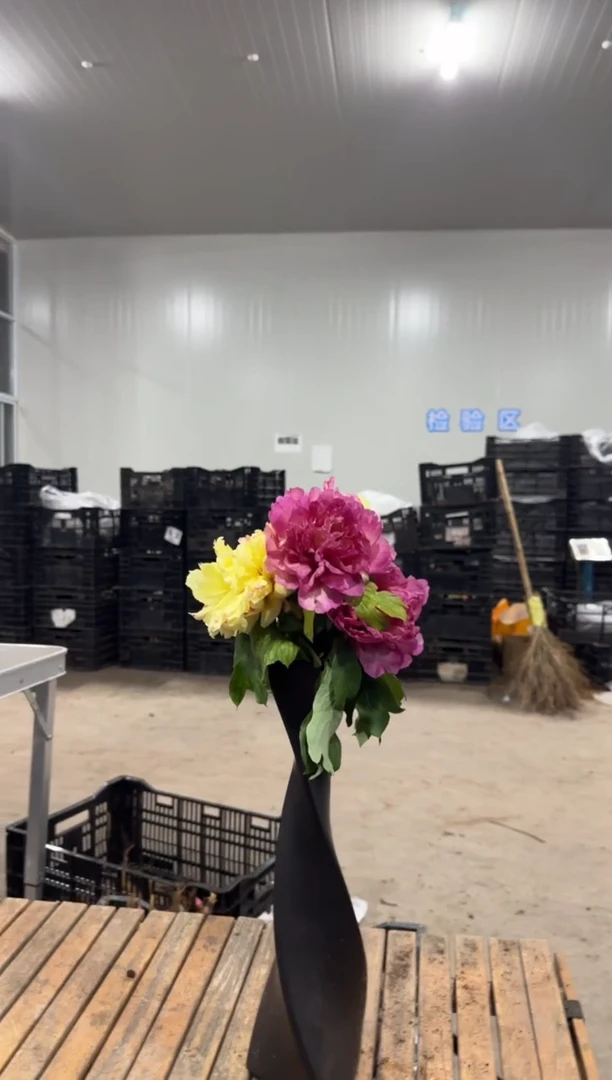 耕**人15.8  耕读山人  不知道什么品种