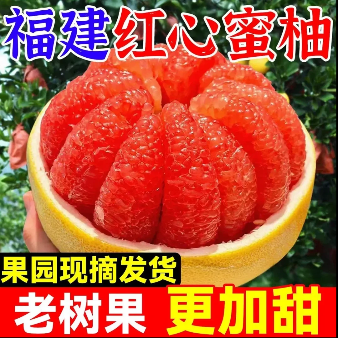 【福建平和柚】琯溪蜜柚2颗4.5斤红心蜜柚三红柚原产地柚子皮薄多汁
