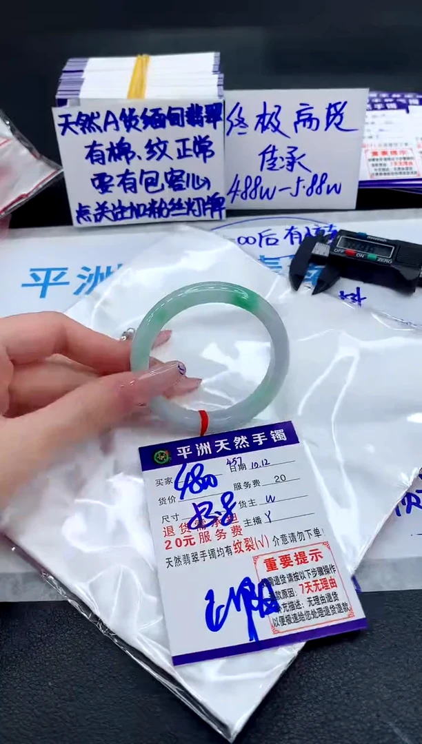 未镶嵌手镯翡翠11111