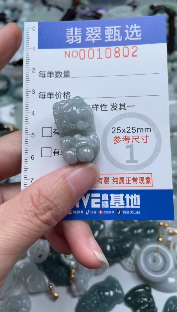 颈饰未镶嵌翡翠10802