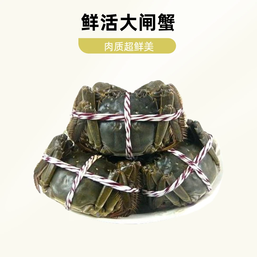【活蟹】【全公蟹】掉脚大闸蟹3两公蟹10只3斤装