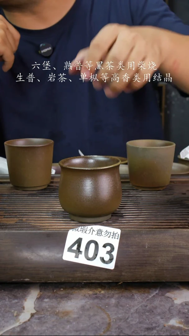 壶四大名陶钦州坭兴陶403