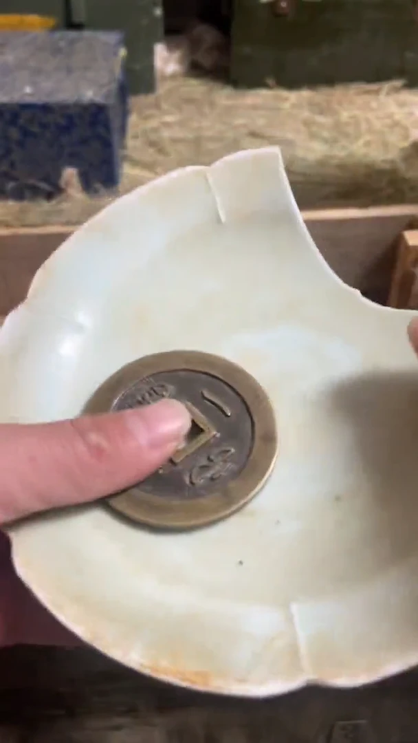 瓷片主播推荐好物