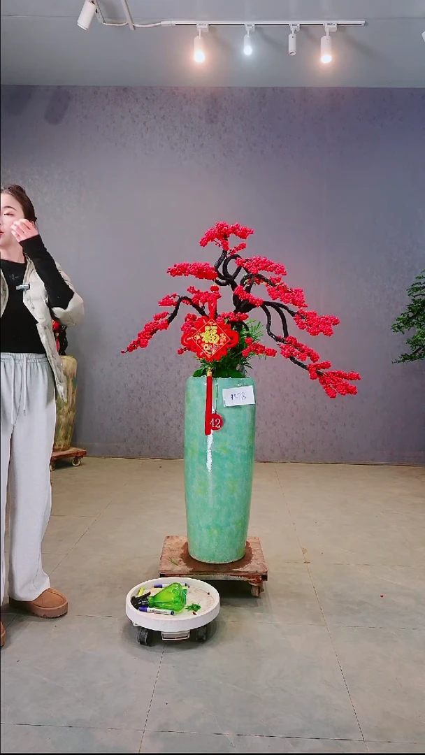 完全开放王*北美冬青