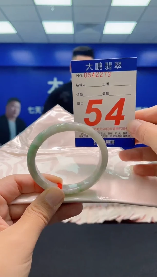 未镶嵌手镯翡翠AAAAAAAAA