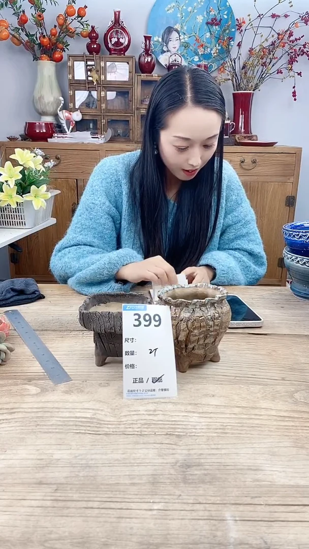 【闪购商品】红陶399