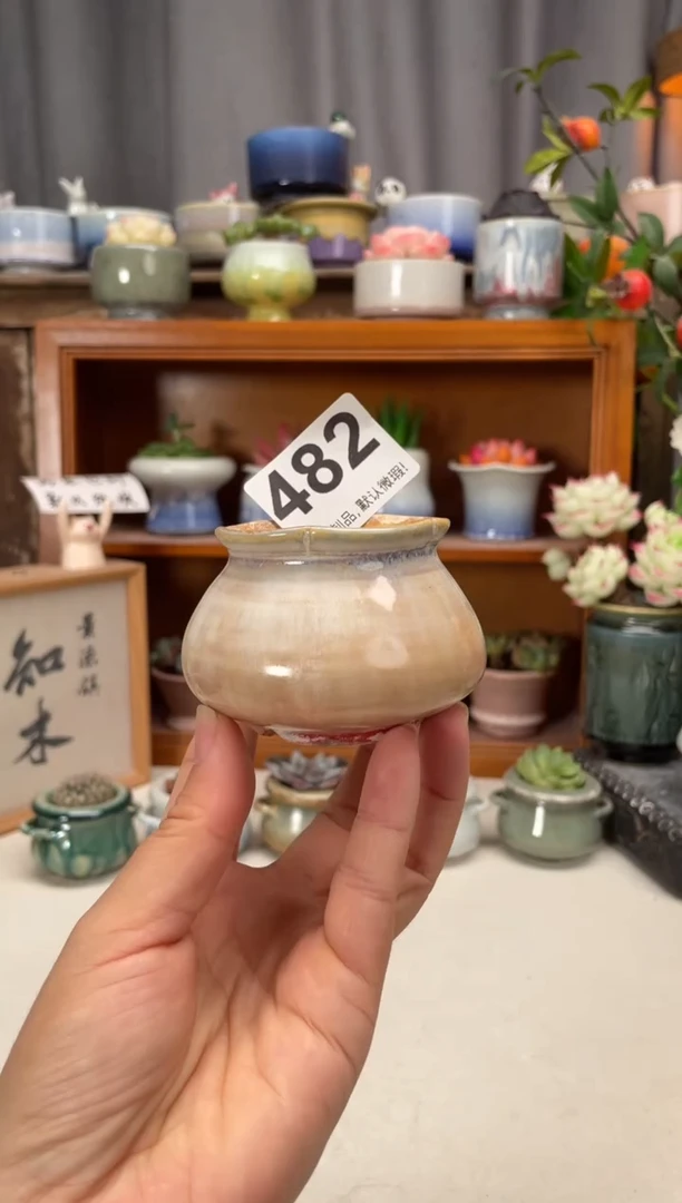瓷片482知木小芳花盆