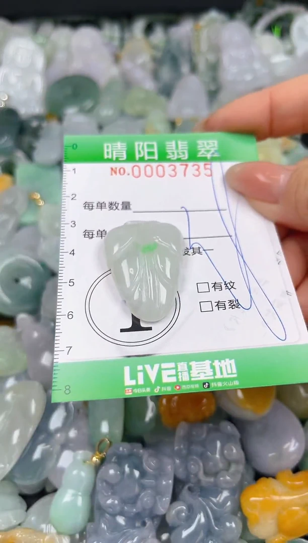 翡翠未镶嵌颈饰闪购0003735