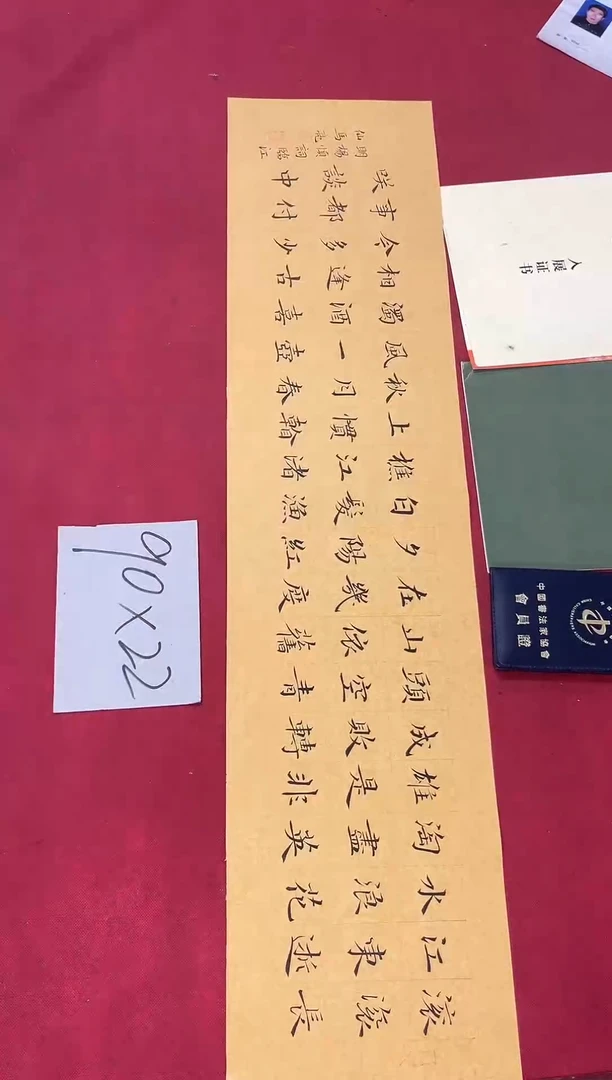 书法中书马亮老师书法作品