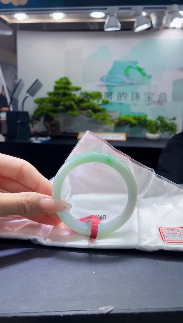 未镶嵌手镯翡翠5