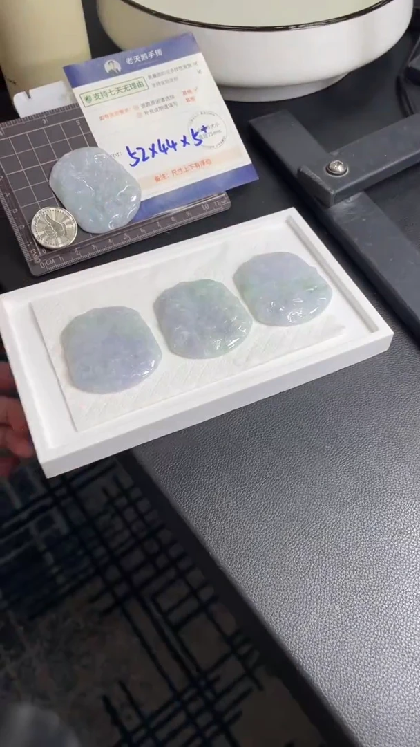 【闪购商品】翡翠颈饰未镶嵌山水牌配绳21/多样性发其一CP