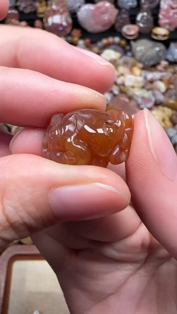 颈饰未镶嵌硅化珊瑚（珊瑚玉）757