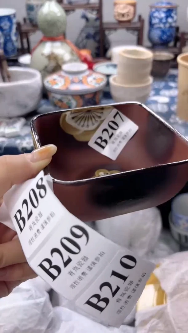 瓷片静*    B207