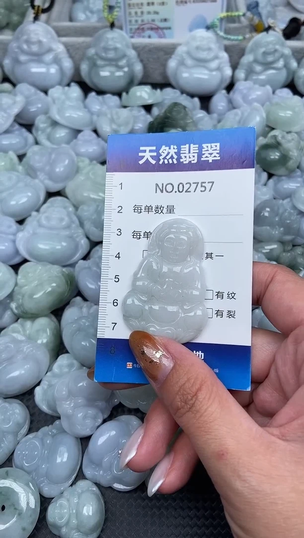 颈饰未镶嵌翡翠纯天然A货翡翠2757