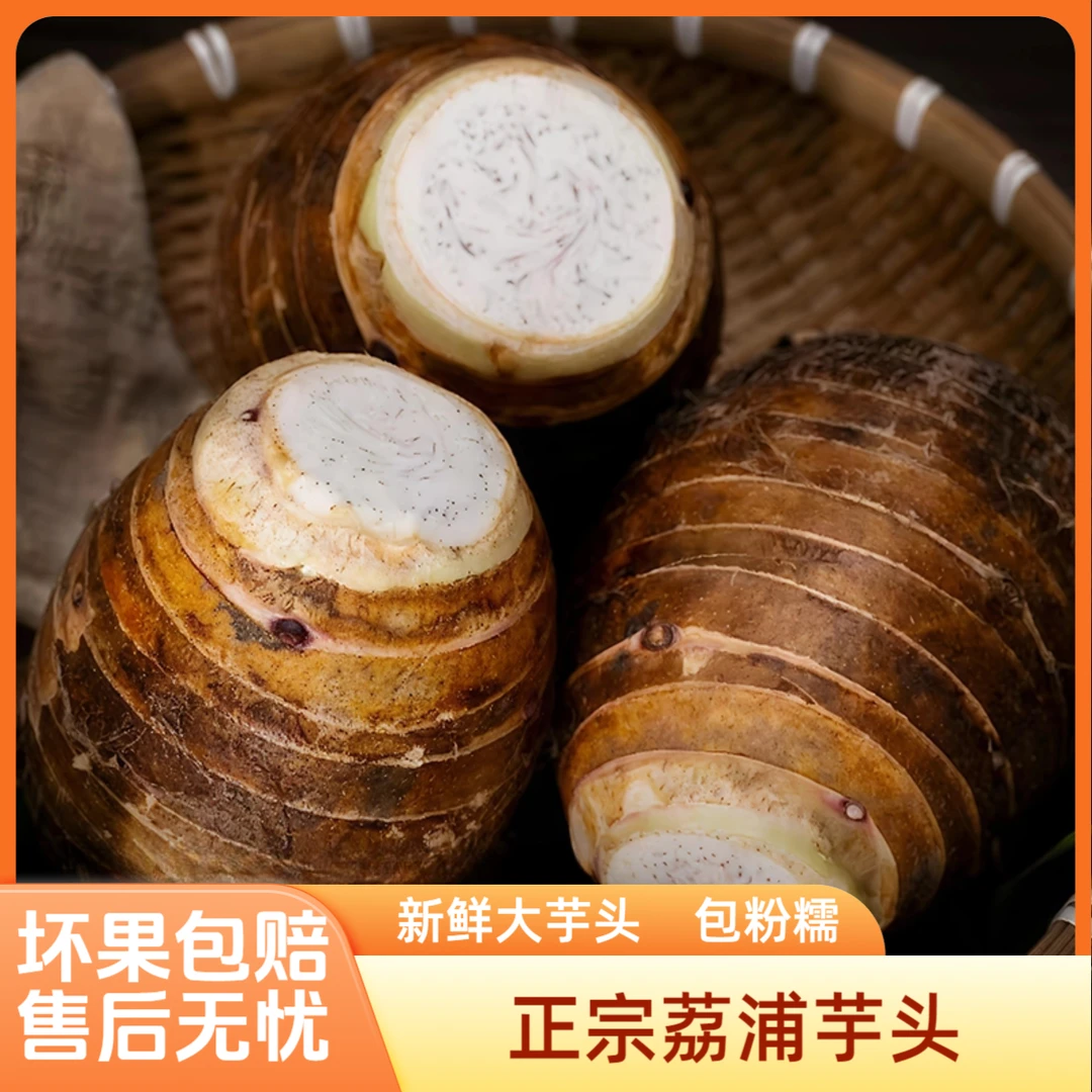 广西荔浦芋头香芋芋艿新鲜香芋软糯毛芋头槟榔芋正宗荔浦特大芋头