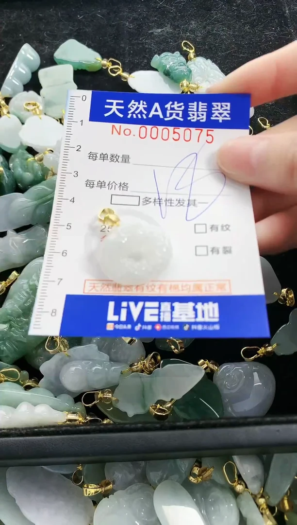 颈饰未镶嵌翡翠天然A货翡翠
