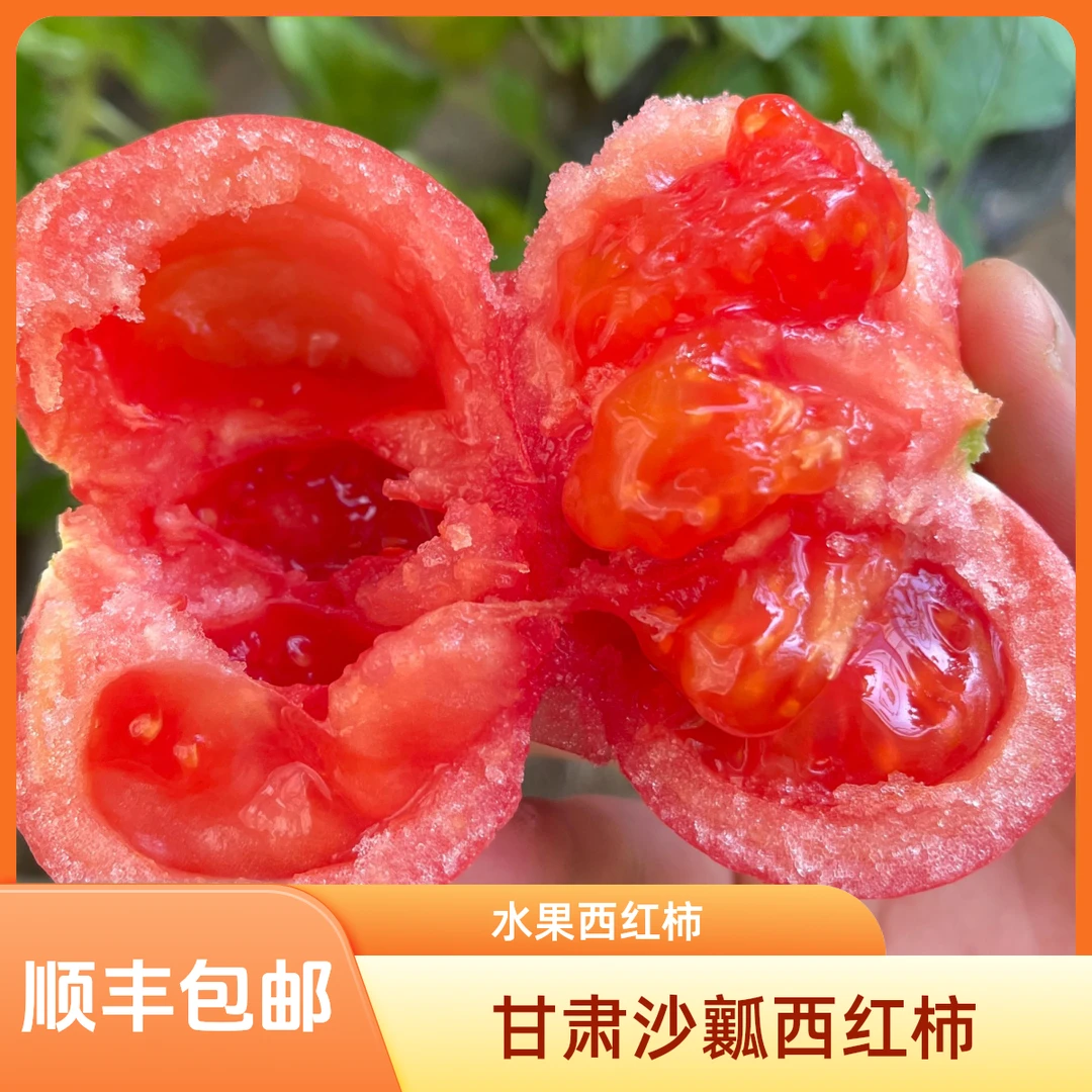 甘肃沙漠西红柿新鲜自然熟沙瓤生吃水果番茄农家天然现摘蔬菜