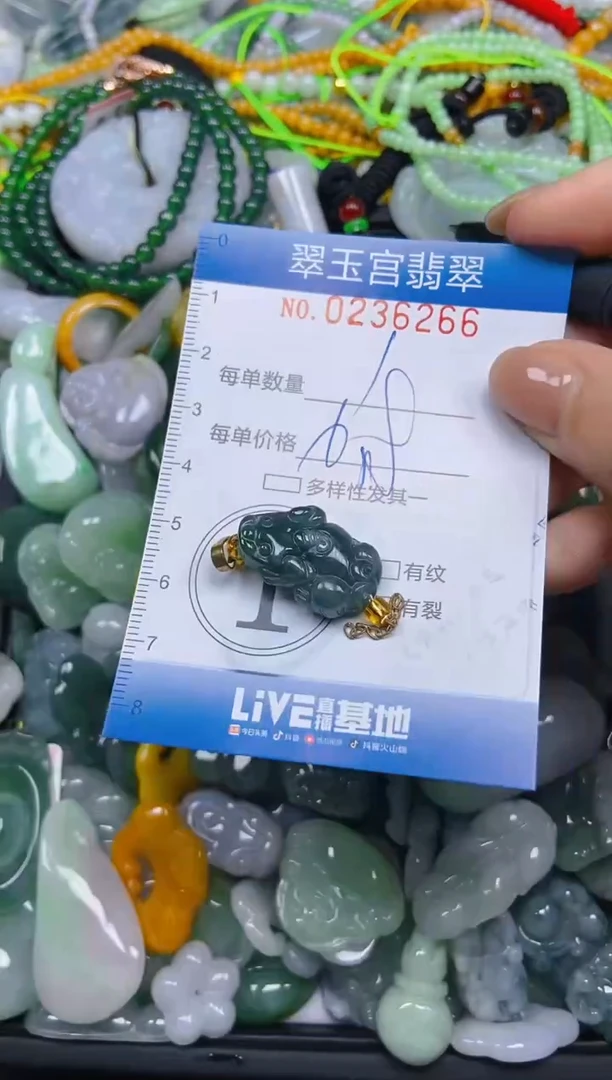 颈饰未镶嵌翡翠闪购C0236266