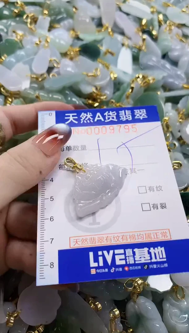 颈饰未镶嵌翡翠天然A货翡翠