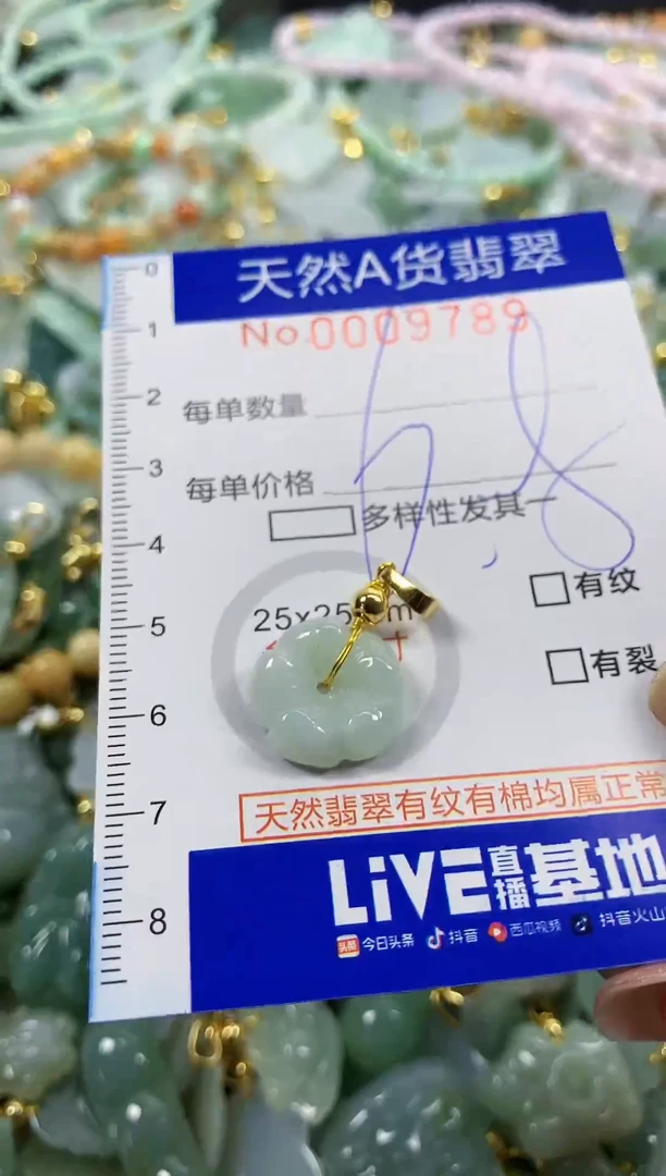 颈饰未镶嵌翡翠天然A货翡翠