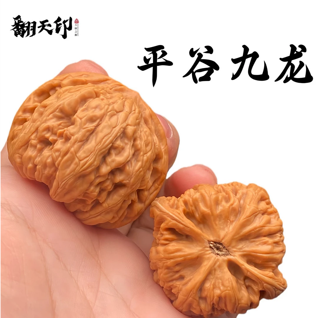 精品文玩核桃平谷九龙狮子头