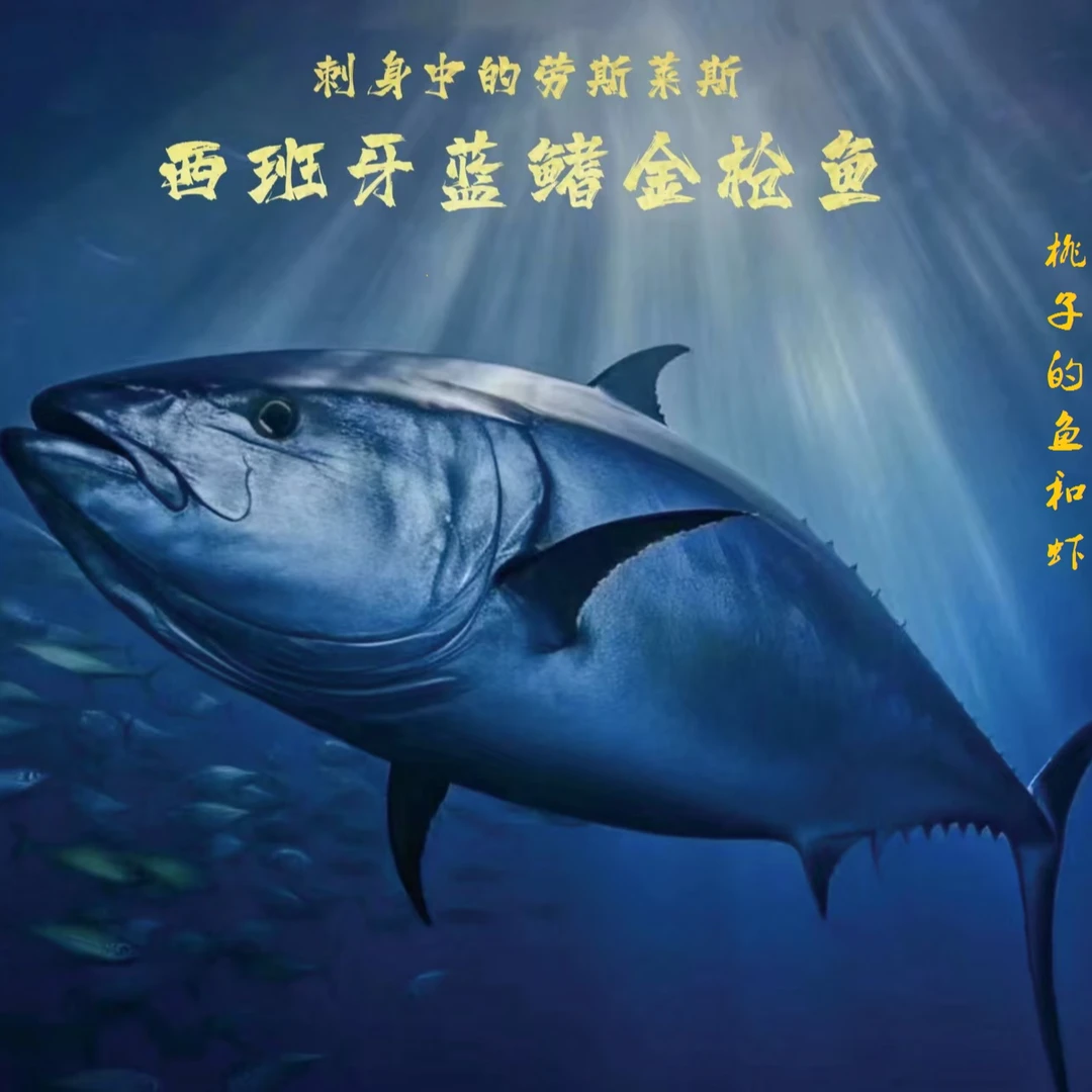 北方蓝鳍金枪鱼西班牙进口顺丰冰鲜发货