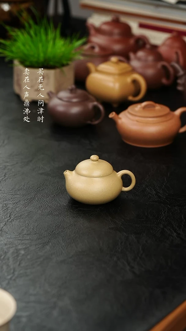 茶壶紫砂拾珍堂梨皮本绿小文旦