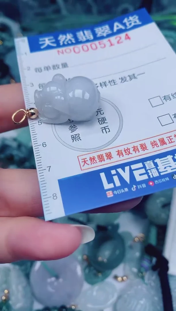 颈饰未镶嵌翡翠00005124