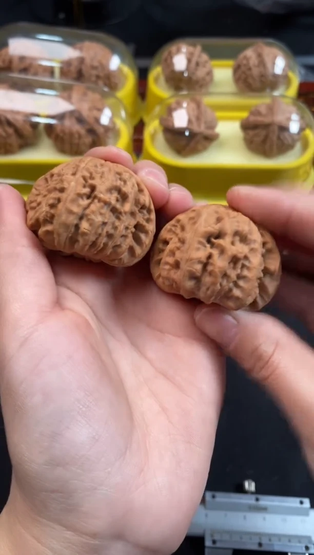 把件文玩核桃白狮子42尺F874