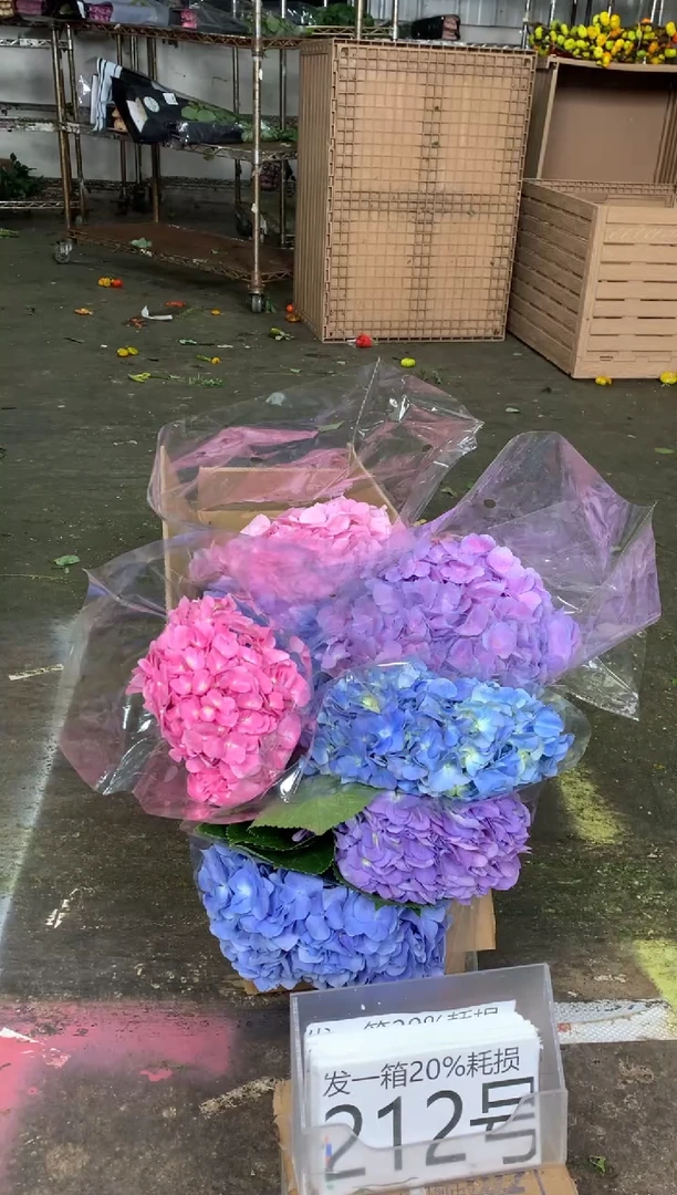 212号不指定♥含20%耗损发一箱