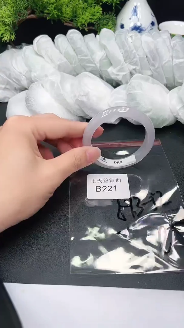 未镶嵌手镯翡翠221