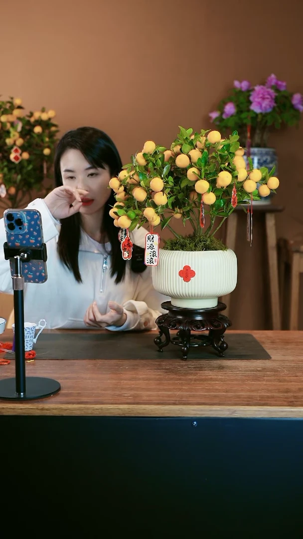 【闪购商品】盆景小金橘 白