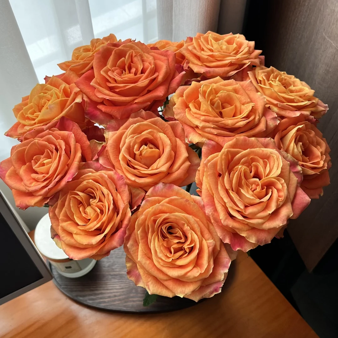 【禾韵山东】年卡/20支/周自有基地山东鲜花批发直播顺丰包邮次日达