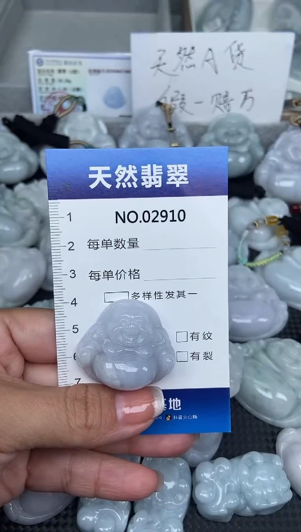 颈饰未镶嵌翡翠纯天然A货翡翠2910