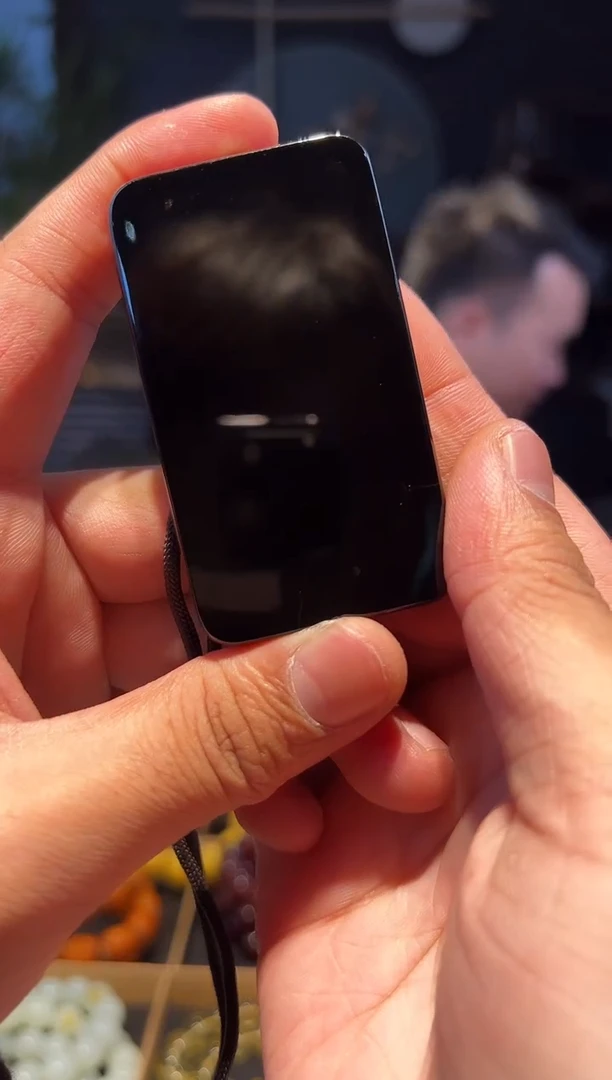 【闪购商品】和田玉挂件未镶嵌挂件-(墨玉)