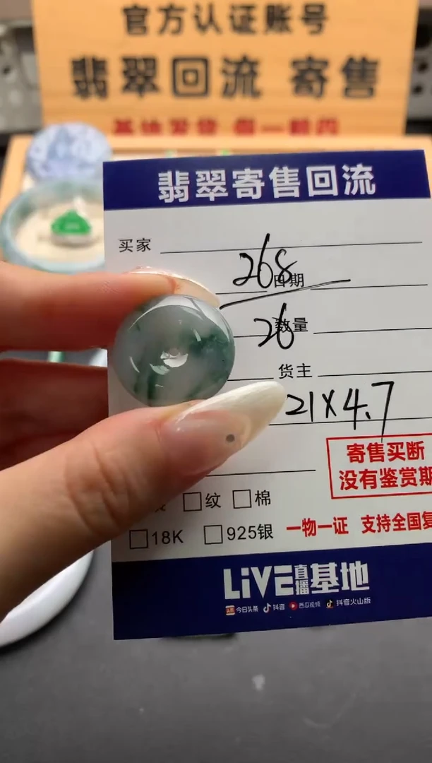 翡翠未镶嵌颈饰10138047