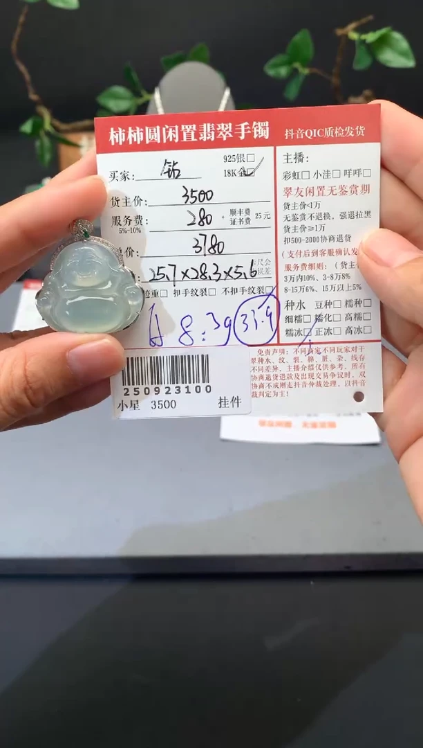 颈饰18K金镶嵌翡翠姐姐250923100