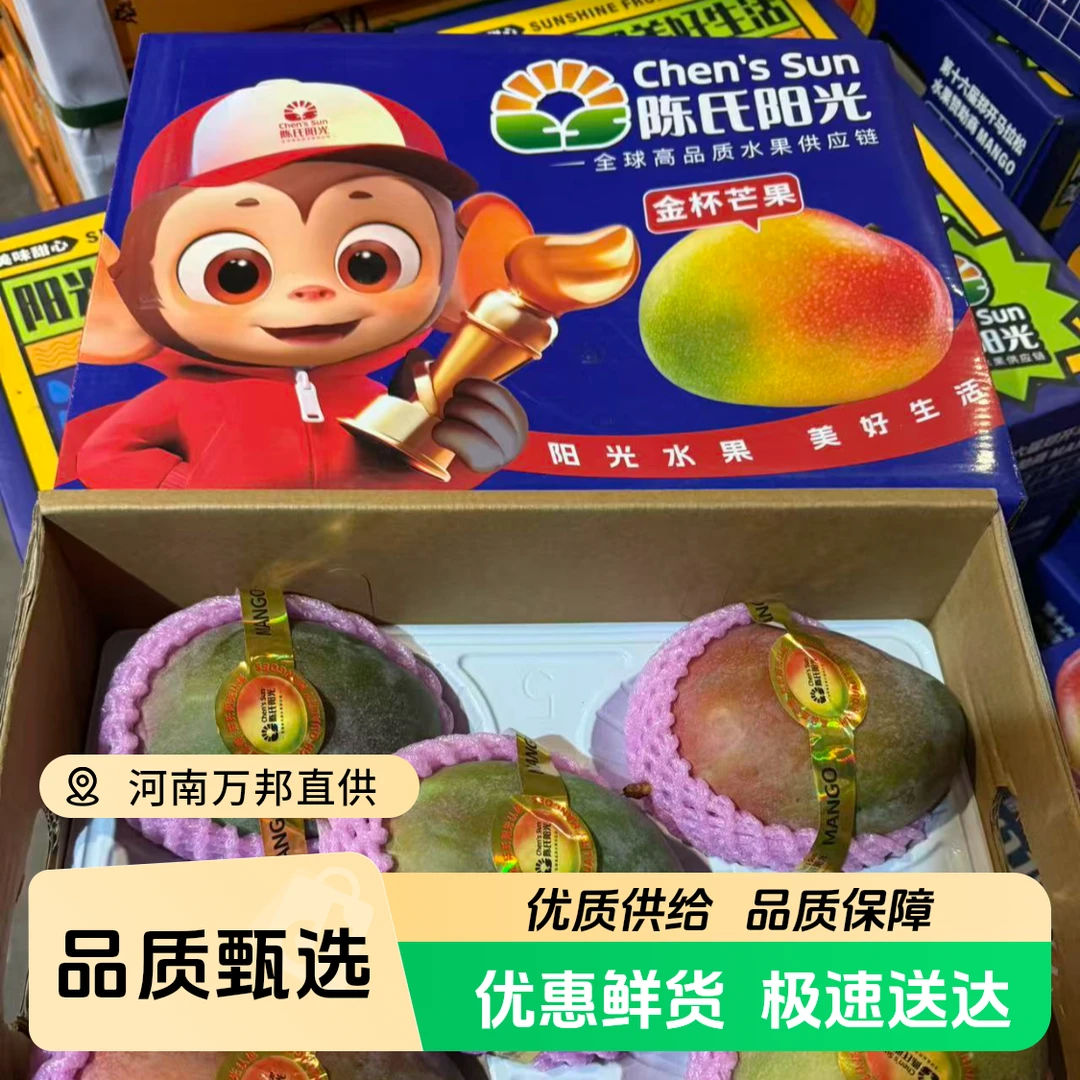 陈氏阳光金杯芒果水果礼盒四川省